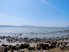 -深圳湾公园(南山区)