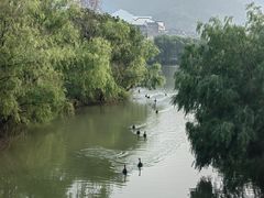-长兴太湖图影湿地文化园
