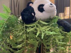 -了凡国风主题茶馆·咖啡(武侯祠锦里店)