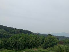 -金水泊山庄·花椒鸡(铁山坪店)
