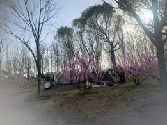 -东郊湿地公园