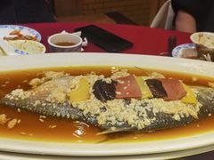 酒香鲥鱼-老吉士酒家(天平路店)