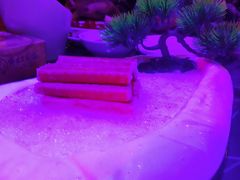 -狼爱上羊音乐火锅