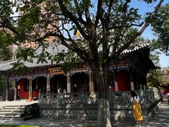 -护国法轮寺