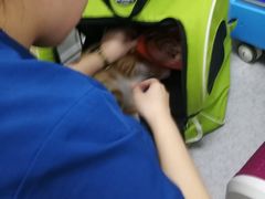 -喜多萌中农锦绣动物医院24H·猫科·牙科MRI·CT