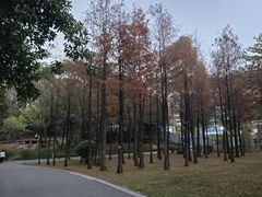 -晓港公园