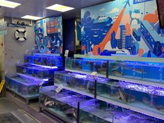 -盒马鲜生(大成店)