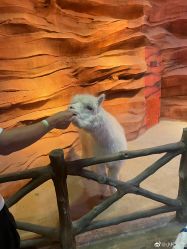 -酷嗒动物文化乐园(cutezoo西溪乐天城店)