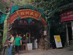 -瑞丽独树成林风景区