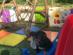 -石家庄市动物园