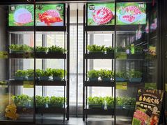 -番食园鲜食火锅(高新店)