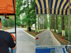 -黄海国家森林公园