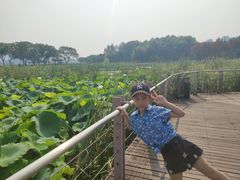 -月湖风景区