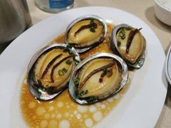 陈皮蒸鲍鱼-老字号蛇口德记烧腊饭店·海鲜加工
