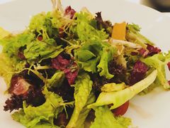-卡佩罗意大利餐厅及酒吧Al Cappello Trattoria