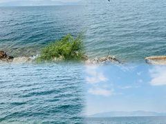 -月亮湾湿地公园