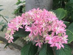-亮河湾山庄