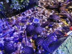 -酷嗒动物文化乐园(cutezoo西溪乐天城店)