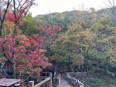 -本溪汤沟绿石谷森林公园