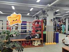 -TFC 纯泰拳馆MuayThai