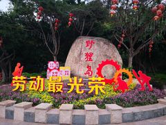 -野狸岛