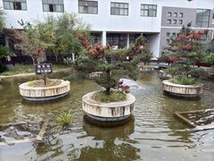 -句容茅山景区