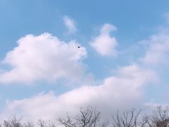 -映月湖中央公园