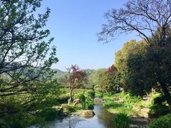 -中国茶叶博物馆(双峰馆区)