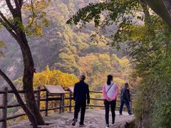 -少华山国家森林公园