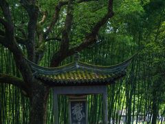 -兰亭风景区