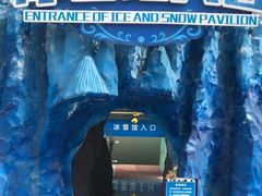 -西安曲江海洋极地公园