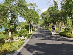 -东钱湖小普陀景区