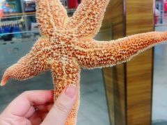 -圣罗巴甄选自助(麦凯乐店)