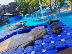 -海合安成都极地海洋公园