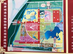 -洛阳市隋唐城遗址植物园