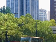 -BUS TOUR观光巴士