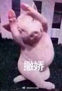 -阿甘锅盔(合生汇购物中心店)