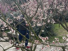 -雨花胜境