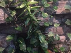 -德全心悦酒店(北京金台路地铁站店)