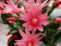 -南通洲际绿博园