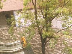 -瑞虹新天地月亮湾