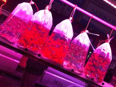 -中环花鸟鱼虫市场