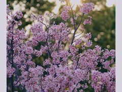 -文华公园(禅城区)