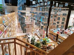 -猫的天空之城概念书店(杭州南宋御街店)