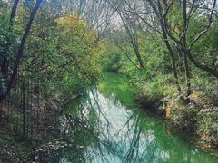 -西溪国家湿地公园