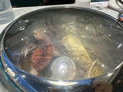 -大锅强·蒸海鲜青岛菜(金沙滩店)