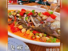 -山楂树融合菜餐厅