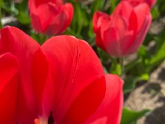 -长春公园(普阳街道)