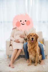 点击看大图 -暖摄影 孕妇写真家庭影像馆 (自然光主题店)