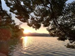 -西湖外事游船(花港观鱼码头)